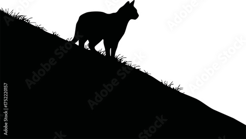 Cat silhouette vector, standing on grassy hillside, side view, black and white minimal — stock vector.