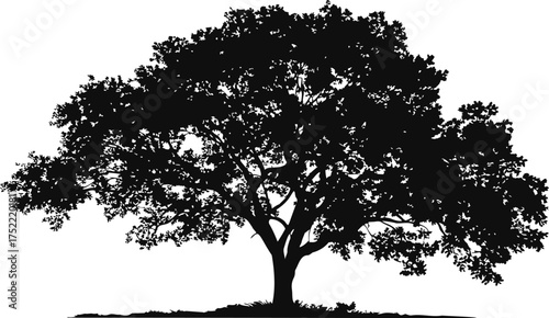 Tree silhouette vector, detailed black oak tree with spreading branches and dense foliage — stock vector.
