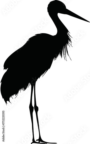 Heron standing profile vector silhouette with long beak and legs — stock vector.