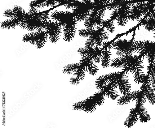 Pine branch silhouette vector, hand drawn style with detailed needles — stock vector.