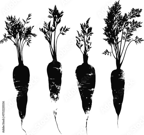 Carrot silhouette vector hand drawn style with leafy tops, isolated on white — stock vector.
