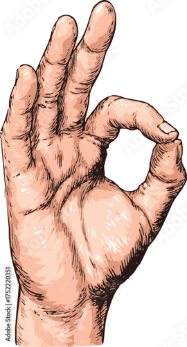 OK hand gesture vector, detailed sketch style, fingers forming circle, isolated on white — stock vector.