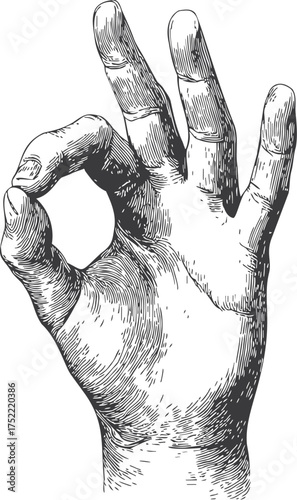 Hand making OK gesture vector, detailed sketch style, fingers forming circle — stock vector.