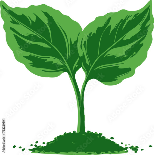 Young plant vector, hand drawn sprout with two green leaves and soil — stock vector.