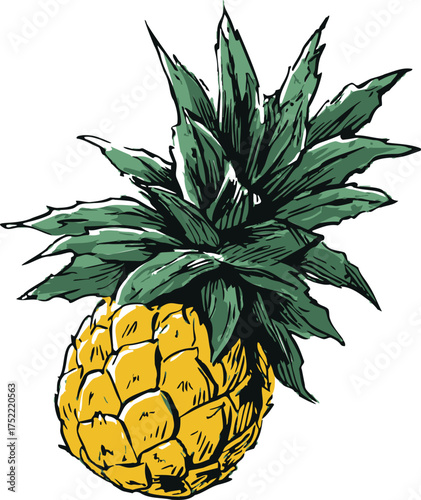 Pineapple vector hand drawn sketch style tropical fruit with green leaves — stock vector.