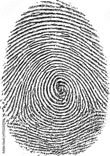 Fingerprint sketch hand drawn whorl pattern biometric identification detail — stock vector