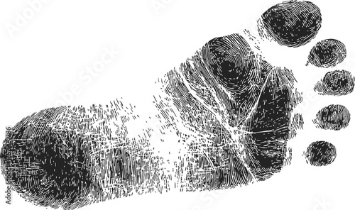 Footprint sketch hand drawn detailed texture isolated on white background — stock vector