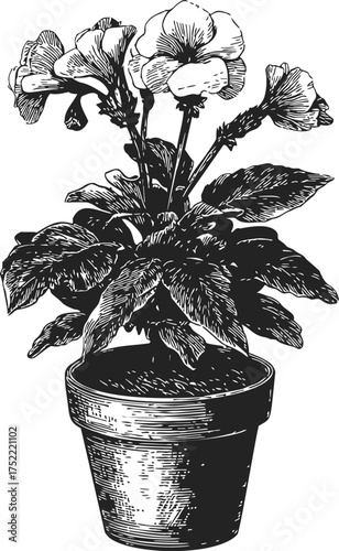 Potted flower sketch, hand drawn style, detailed leaves and blooms in clay pot — stock vector