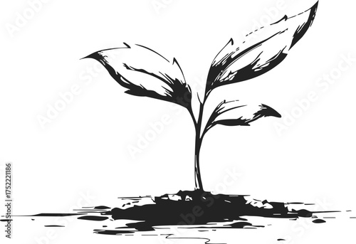 Seedling sketch hand drawn style young plant with leaves in soil — stock vector