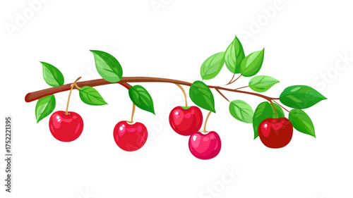 Beautiful branch with vibrant red cherries and lush green leaves isolated on white. vector icon