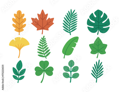 Colorful variety of leaves: autumn and green foliage collection