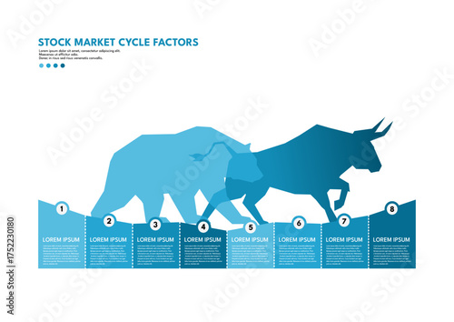 Stock market cycle factors infographic template, bull and bear concept