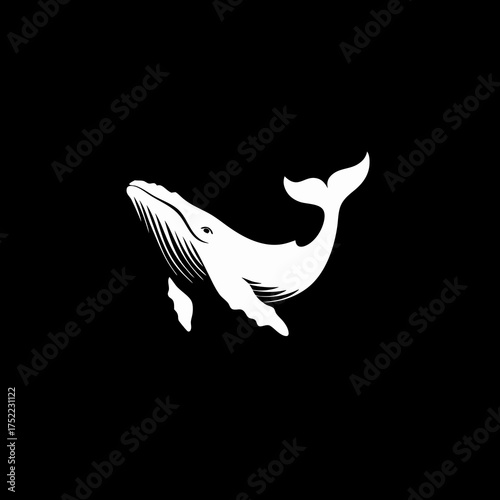 White whale breaching in dark ocean