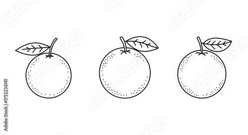 Simple illustration of three oranges with leaves in a black and white style