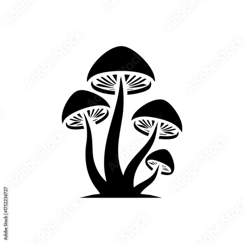 Elegant cluster of forest mushrooms with curved stems, evoking autumn woodland atmosphere.
