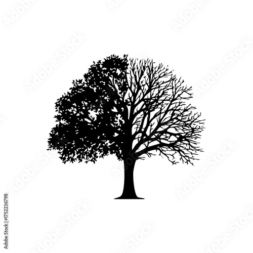 Minimalist black vector of a half-leafy, half-bare tree symbolizing seasonal change, balance, and life cycle.
