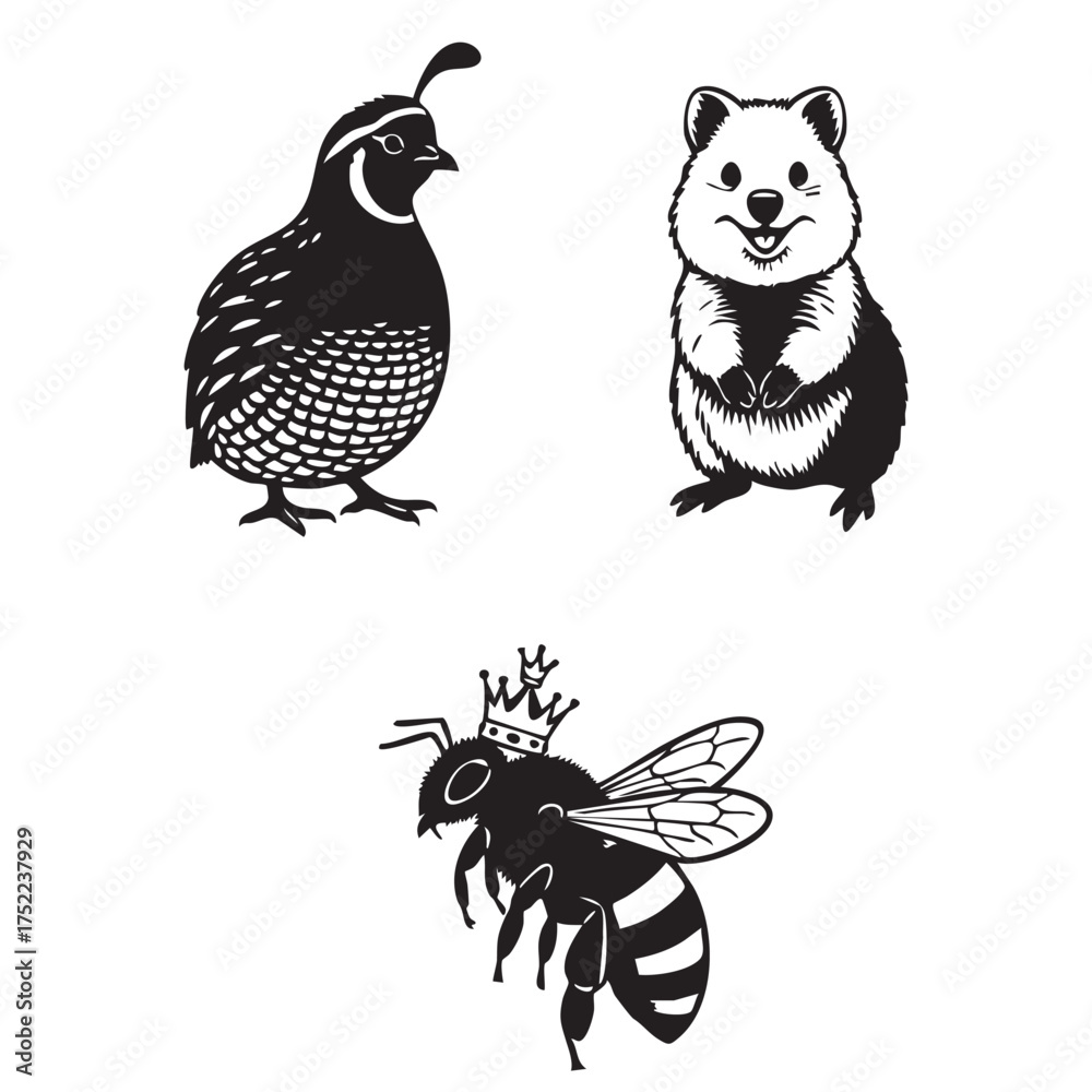 Fototapeta premium Quail, Quokka, Queen bee Silhouette vector 