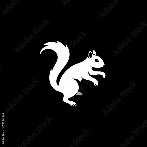 White squirrel on black background