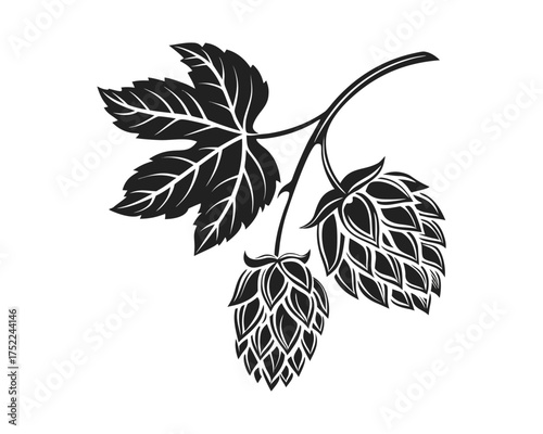 A detailed, hand-drawn black and white illustration of a hop vine with leaves and two cones against a white background