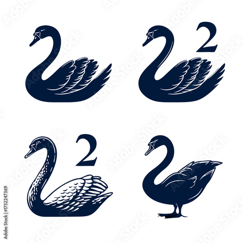 Four swans, two with number two above them