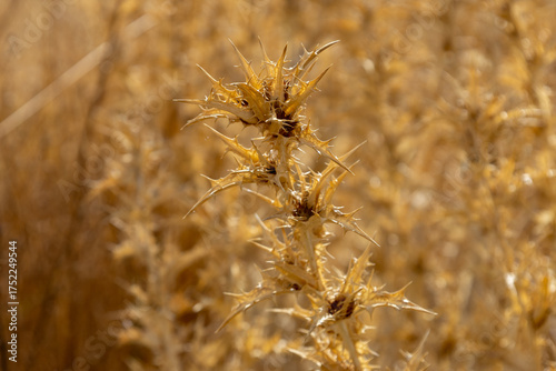 Fuencarral - El Pardo, Madrid