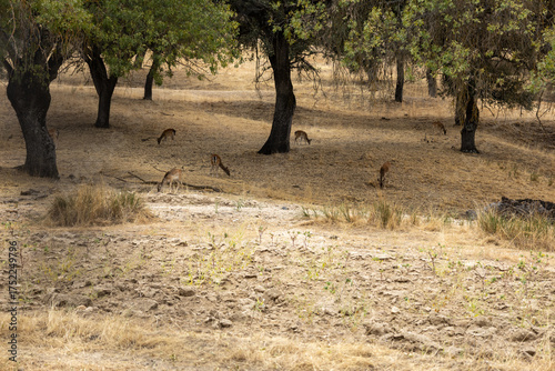 Fuencarral - El Pardo, Madrid