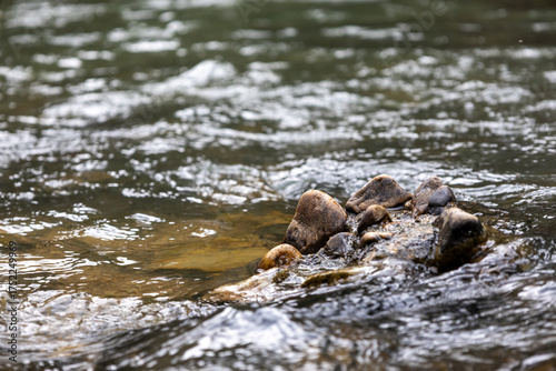 Fuencarral - El Pardo, Madrid