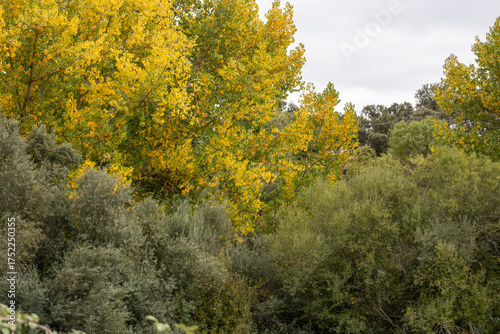 Fuencarral - El Pardo, Madrid