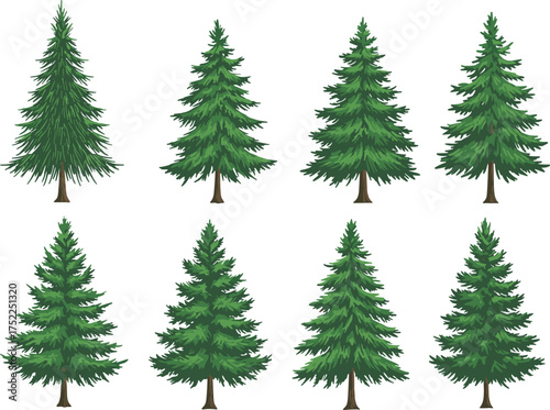 Cartoon evergreen tree illustration set, conical foliage, forest elements, green trees, nature design, seasonal vegetation, botanical shapes, outdoor theme, plant variety
