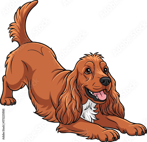 english cocker spaniel dog play bow happy pose vector illustration