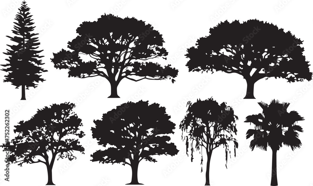 Fototapeta premium Beautiful silhouettes of various trees for your design projects, add nature's touch to your creations with this versatile collection