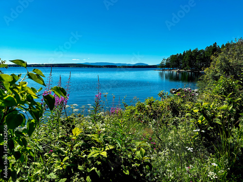 Photos Andersjon lake by summer