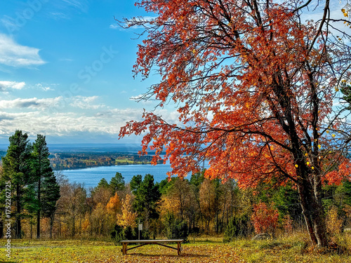 Bild auf Leinwand Froson island by fall autum view on Storsjon lake and bench
