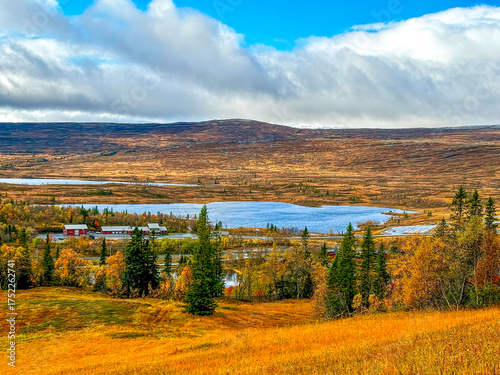 Storlien blomsterstigen mountain fall autumn Sweden Jamtland Norrland 2