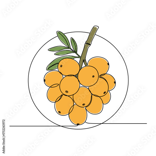 Cluster of ponche fruit with green leaves in a simple circle design  