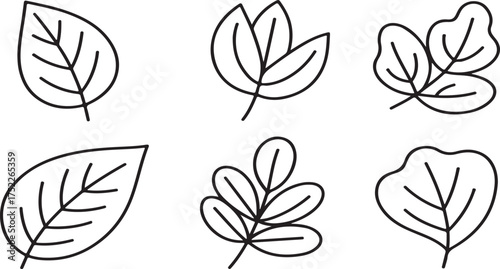 Various leaf shapes with simple line art leaves foliage