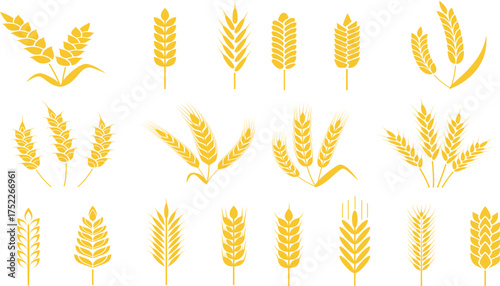 Collection of Golden Wheat Ear Vector Graphics, Representing Agriculture, Harvest, Food, and Bread Production, Symbolizing Abundance and Nature's Bounty