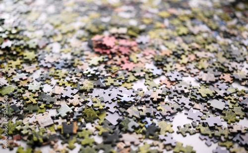 Many Puzzle Pieces Coming Together On The Table