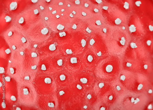 Photo of the texture of a fly agaric mushroom cap, abstract natural background.