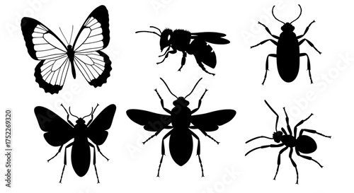 Silhouetted illustrations of various insects, showcasing different species and forms.