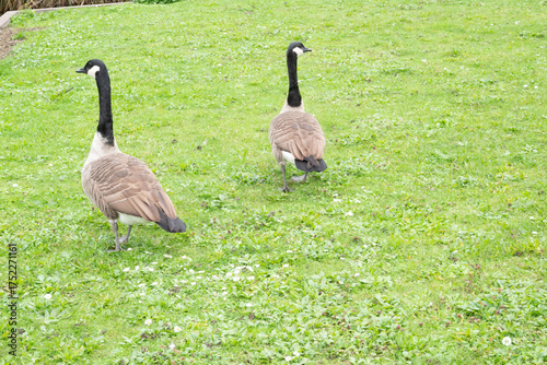 Automn Fall in germany