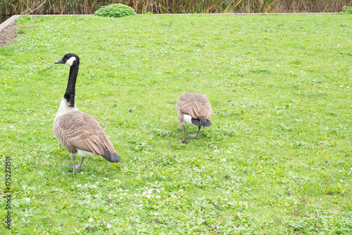 Automn Fall in germany