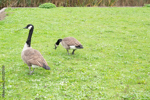 Automn Fall in germany