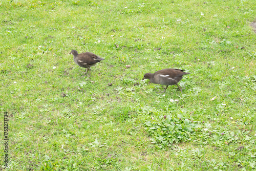 Automn Fall in germany