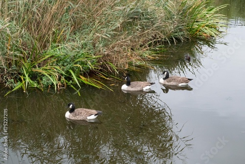 Automn Fall in germany