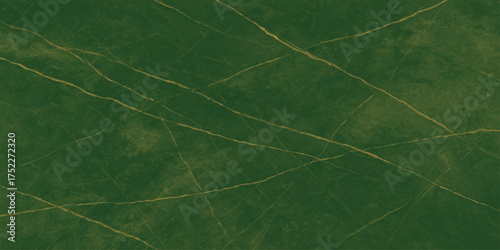 Schilderij op canvas A macro closeup of a green leaf with a distinct vein pattern shows the intricate