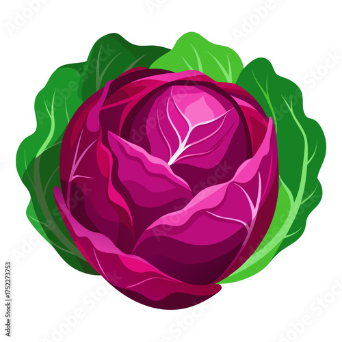 Vibrant red cabbage with fresh green leaves, a healthy culinary ingredient for salads and nutritious meals, perfect for vegetarian and vegan cuisine projects, eye-catching and delicious
