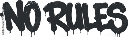 A bold and edgy graffiti style text saying no rules, expressing freedom and creativity.