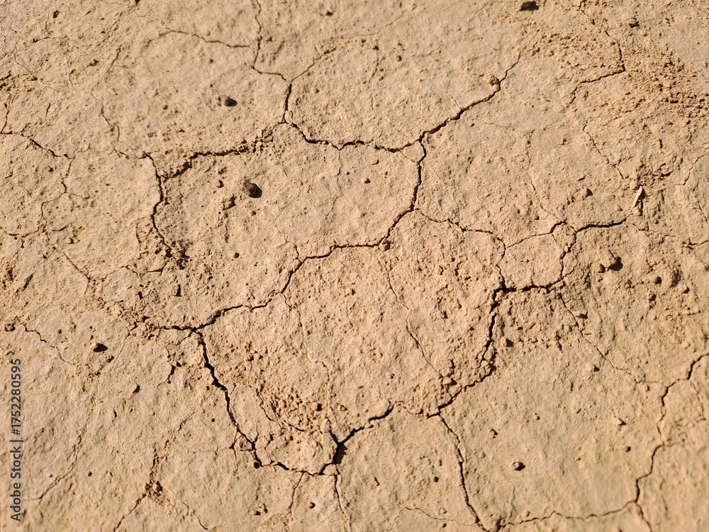 Fototapeta premium cracked ground texture