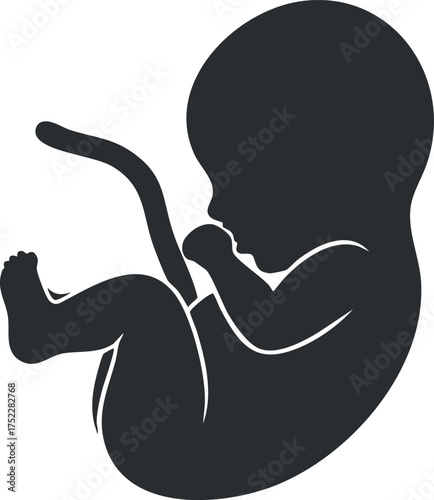 A stylized silhouette of a fetus in the womb representing human development during pregnancy